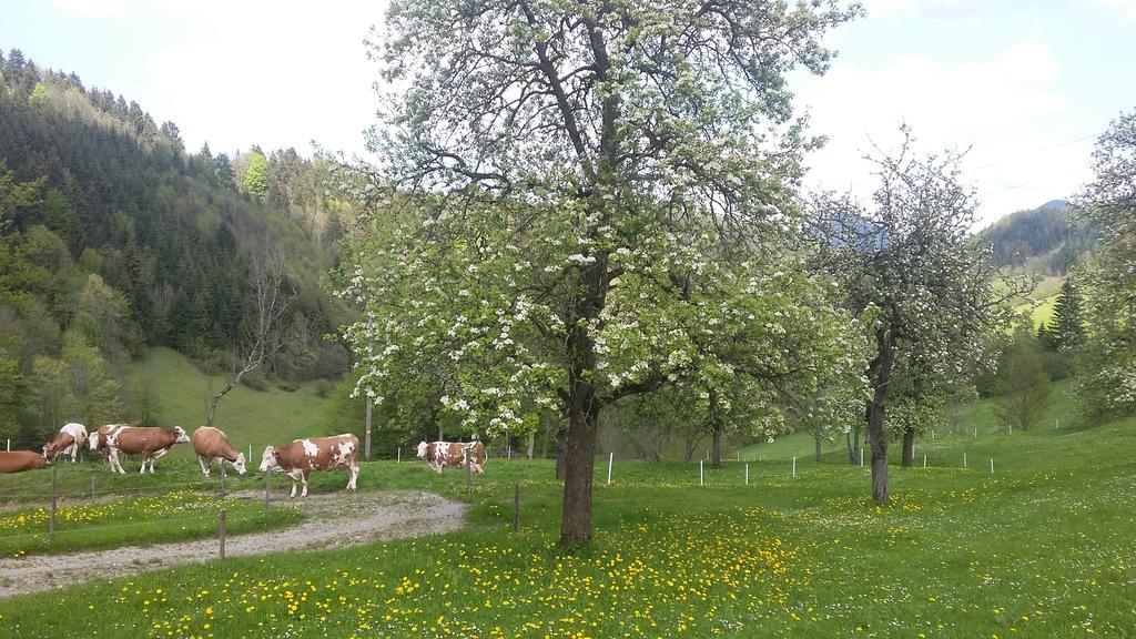 Вилла Eggbauer Sankt Anton an der Jessnitz Экстерьер фото